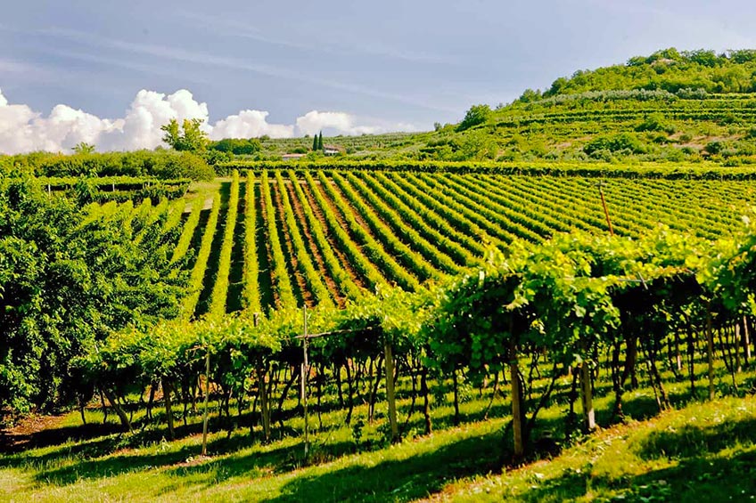 Impresa di pulizie Valpolicella